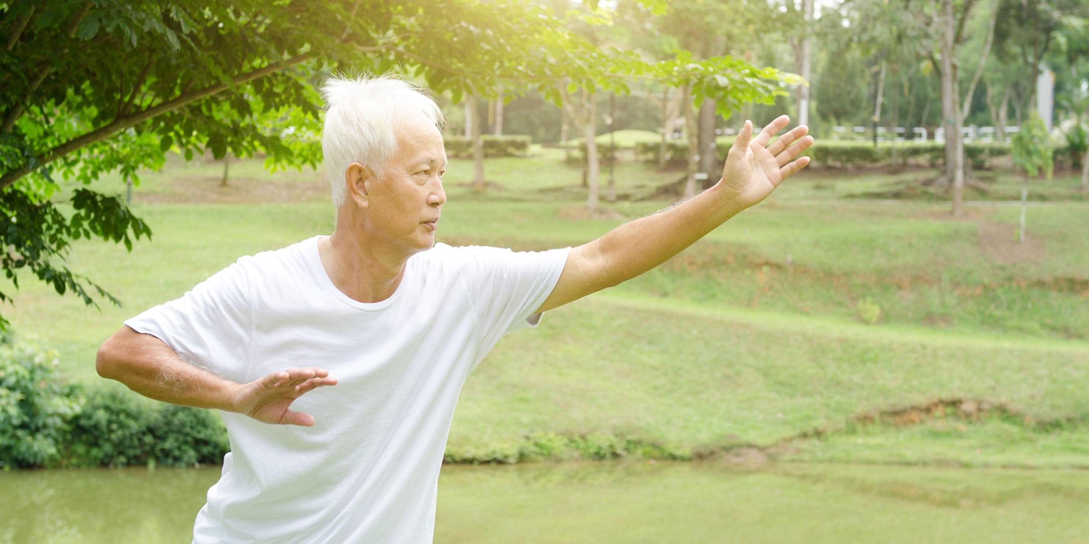 Tai Chi for Beginners  Best Instructional Video for Learning Tai Chi 