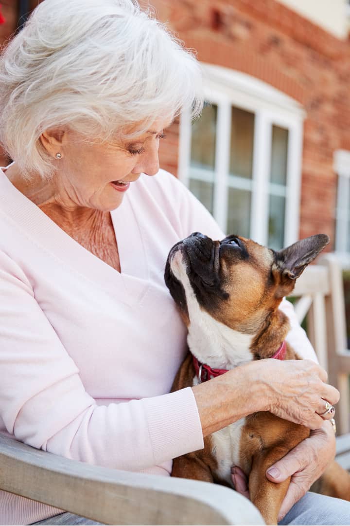 pet-therapy-dogs-needed-to-comfort-patients-denver-health